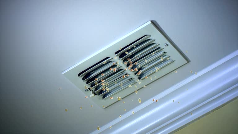 Best HVAC System Cleaning  in Arnold, CA