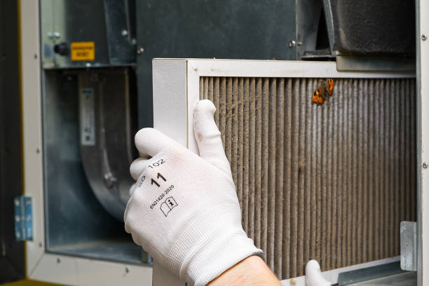 Best Air Duct Cleaning Near Me  in Arnold, CA