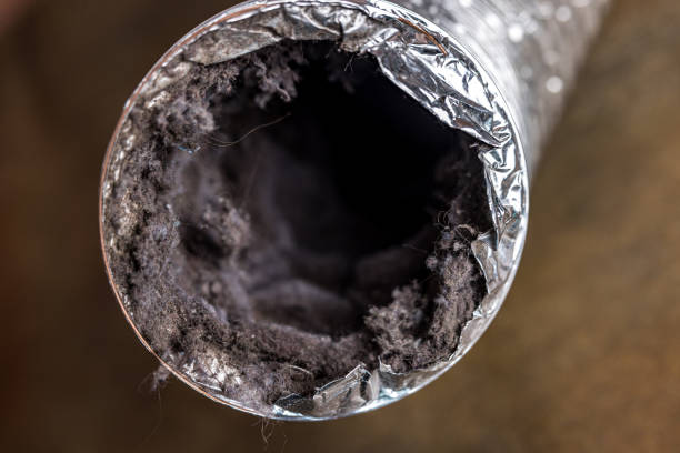 Best Duct Cleaning for Homes  in Arnold, CA